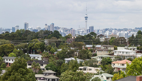 Auckland-property-new-rules